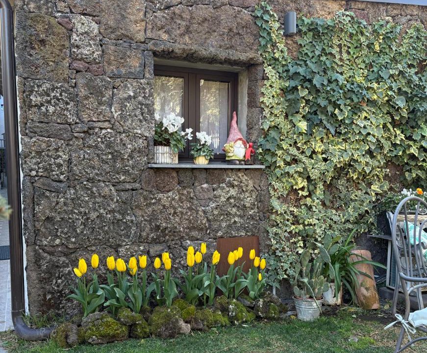 Photo of Others in Ragalna