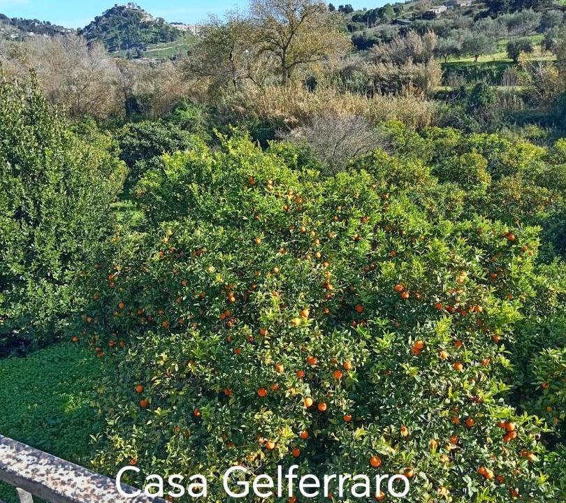 Photo of Others in Calatafimi