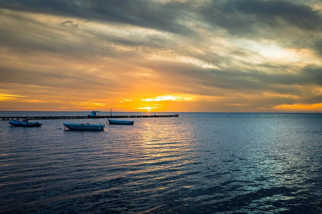 Photo of Others in Marsala