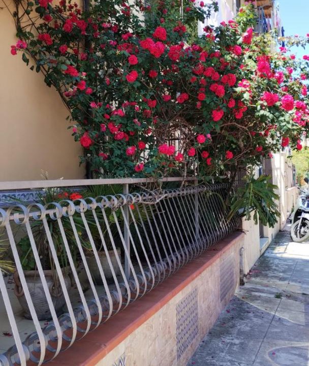 Photo of Others in Palermo