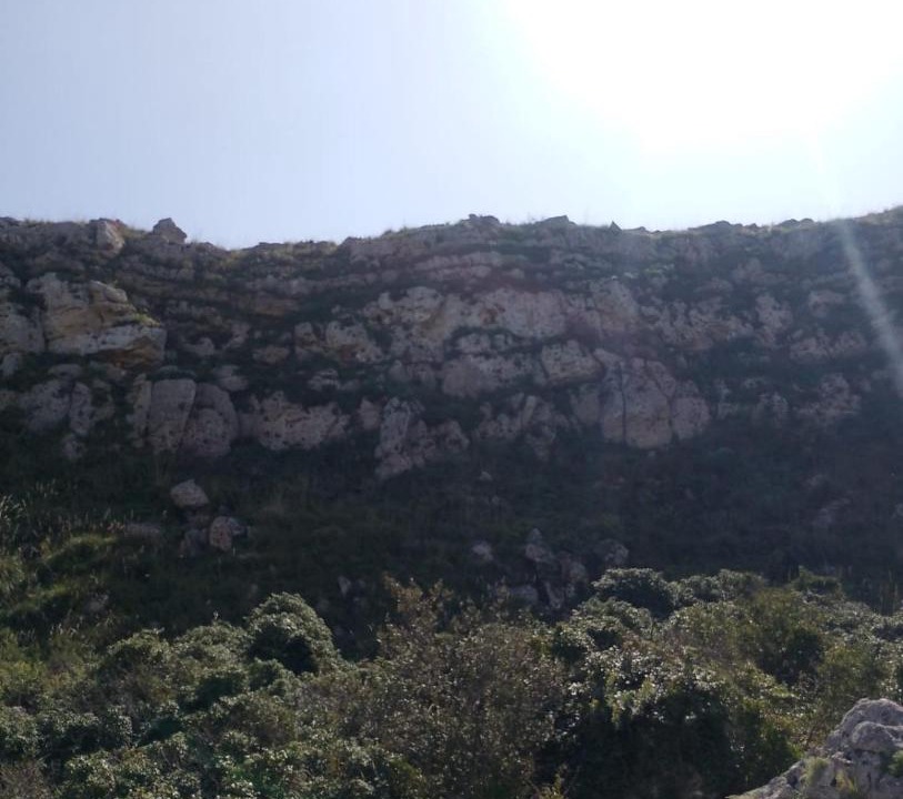 Photo of Others in Landro