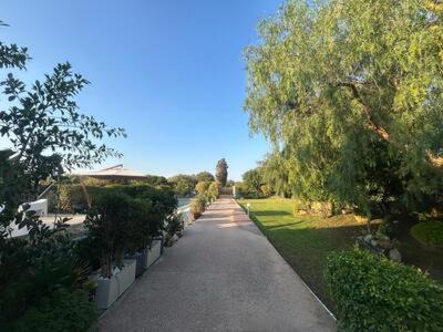 Photo of Others in Alghero