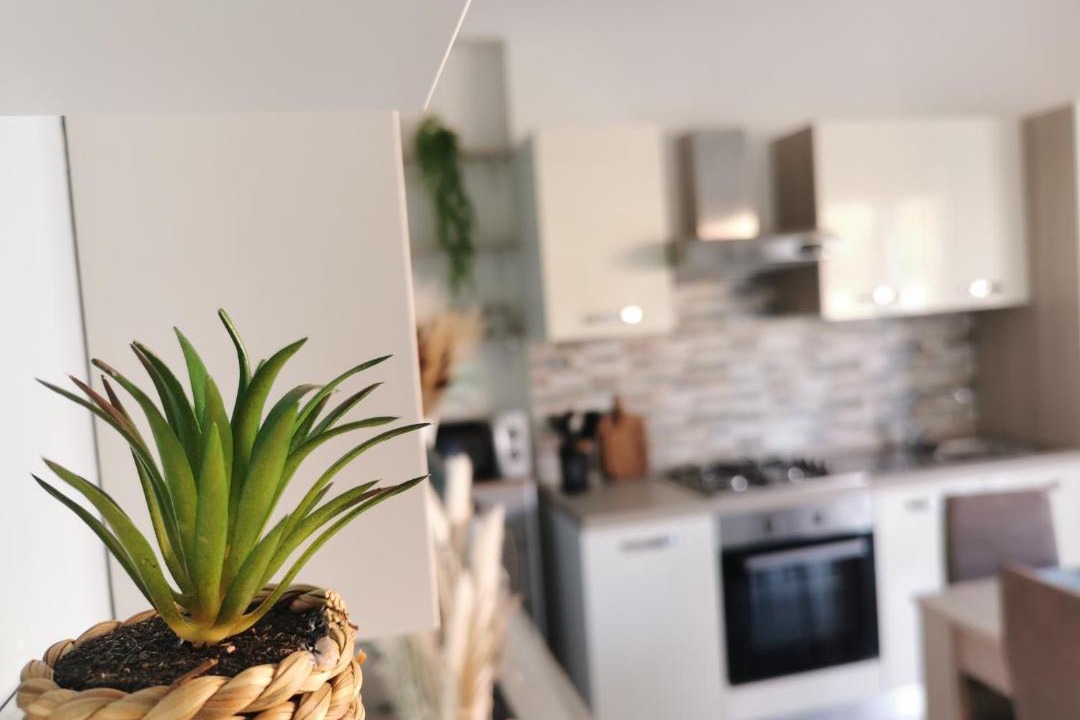 Photo of Kitchen in Finale
