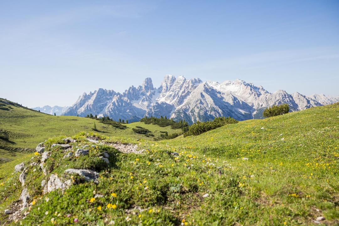 Photo of Others in Prateria