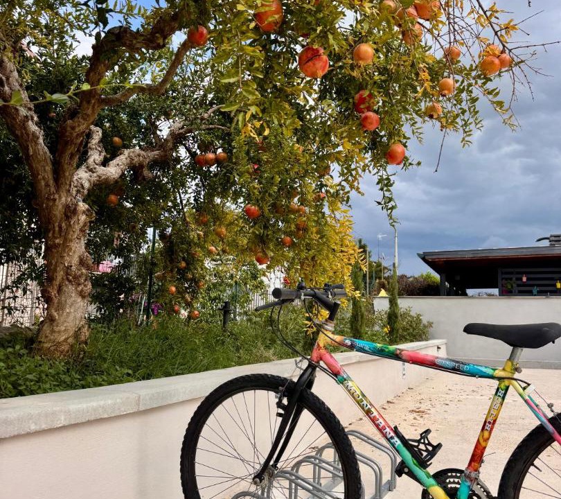 Photo of Outdoor in Palestrina