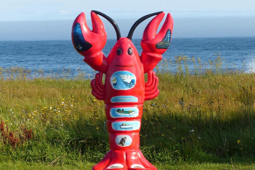 Photo of Others in Shag Harbour