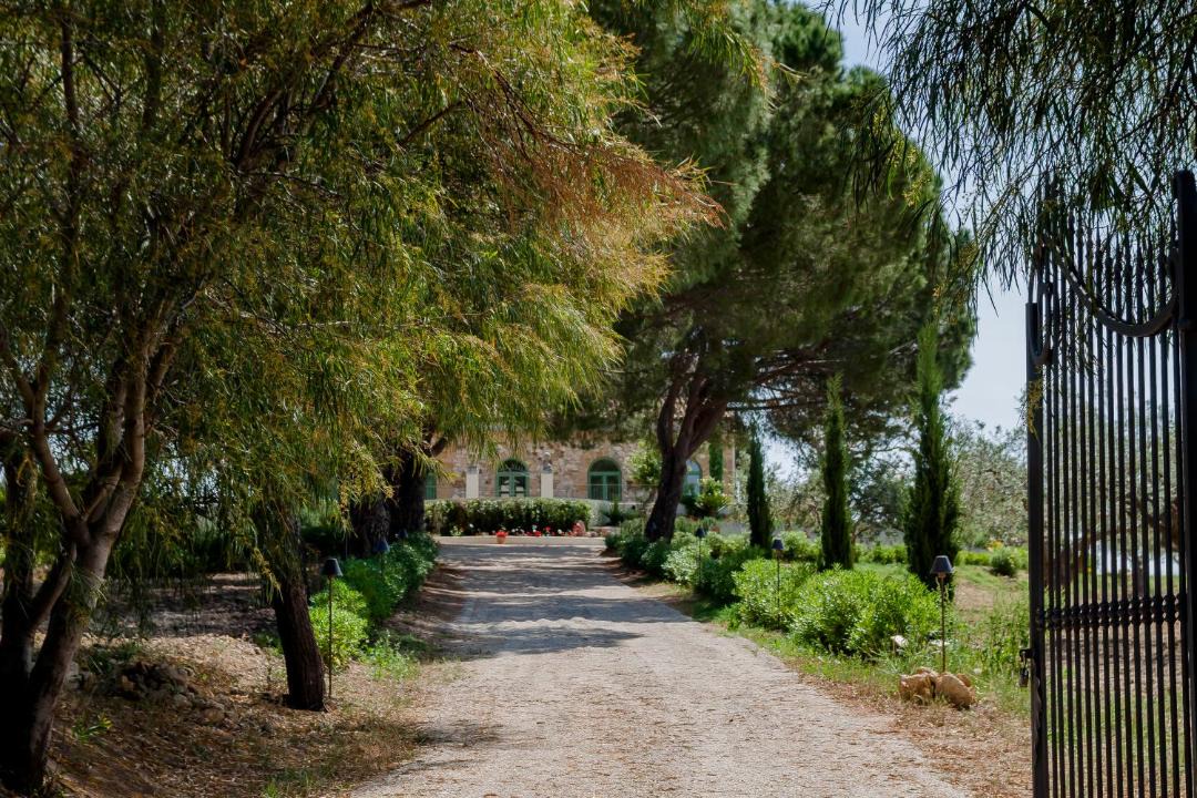 Photo of Others in Aragona