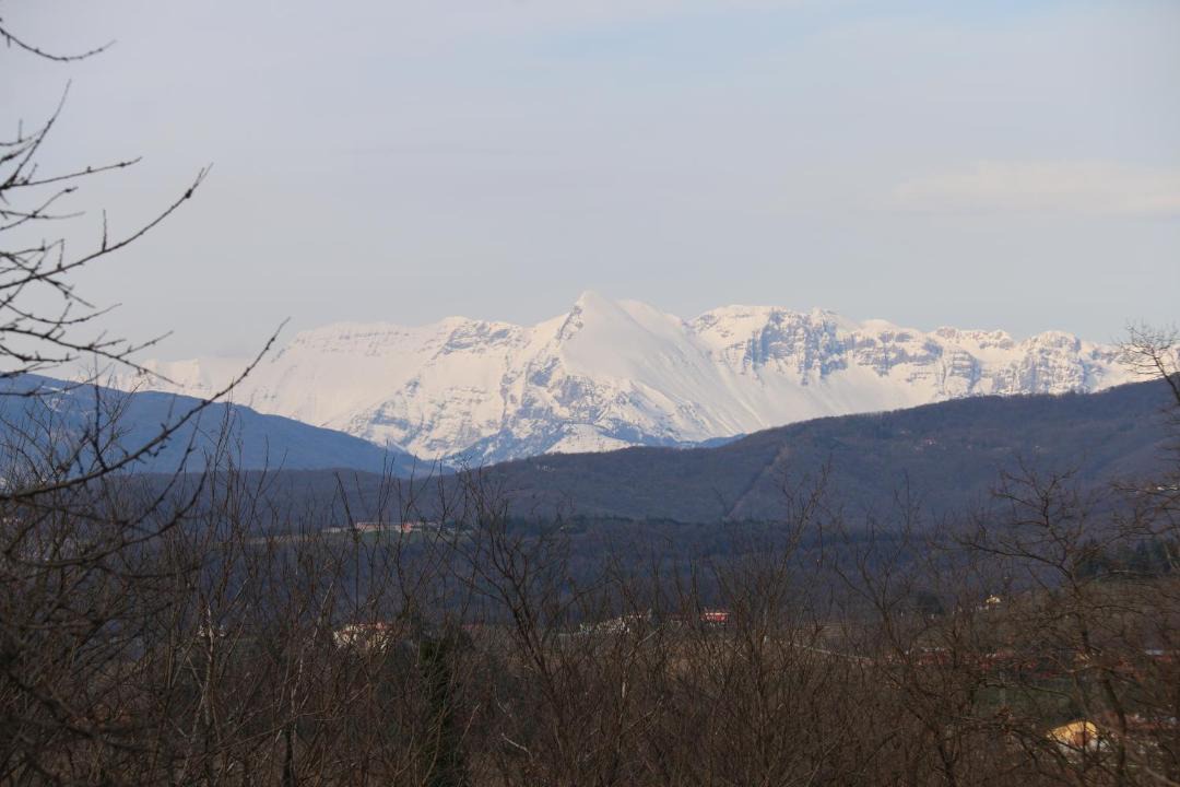 Photo of Others in Corno di Rosazzo