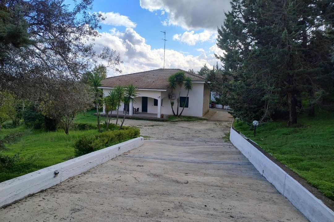 Photo of Others in Caltanissetta