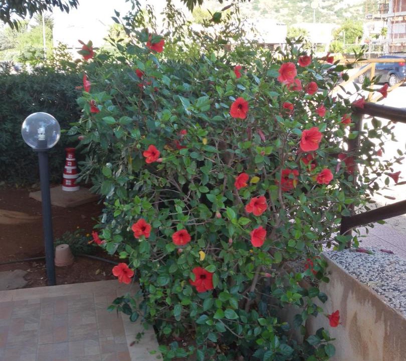 Photo of Others in San Vito Lo Capo