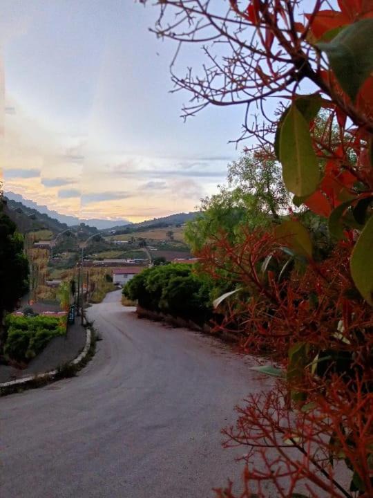 Photo of Others in Santa Cristina Gela