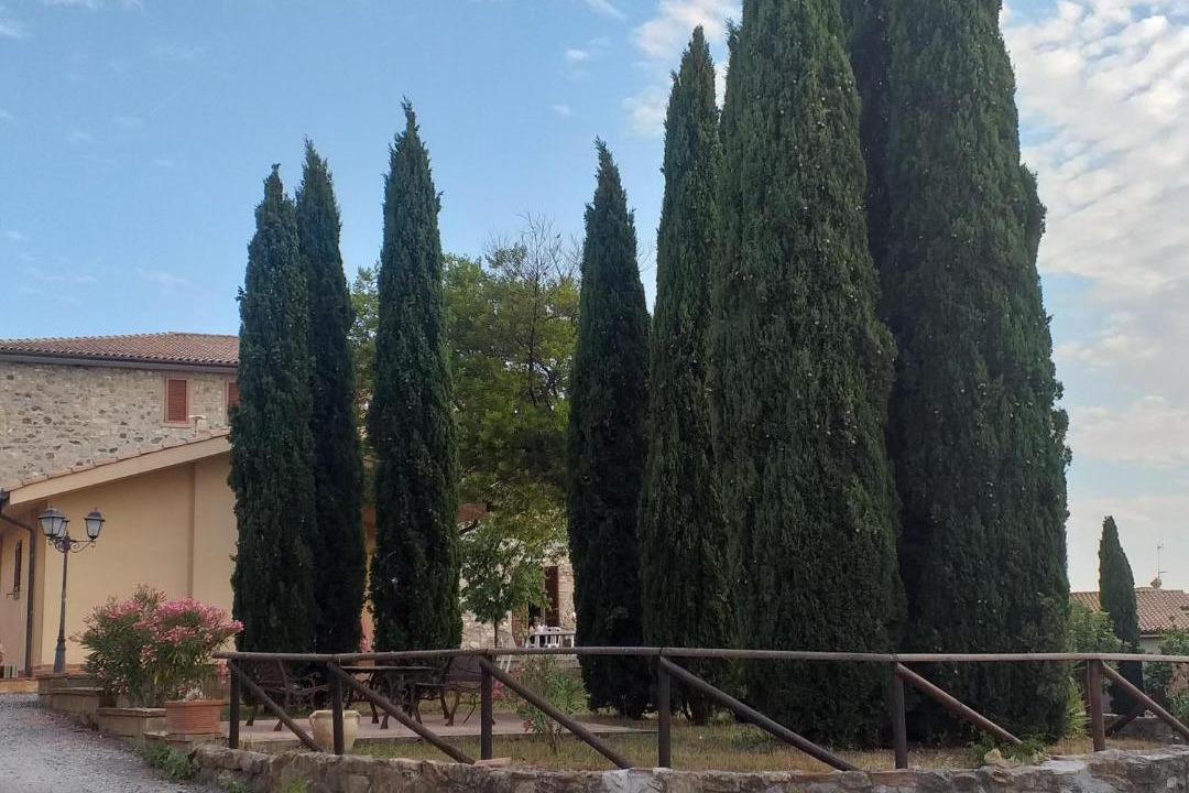 Photo of Others in Pomaia