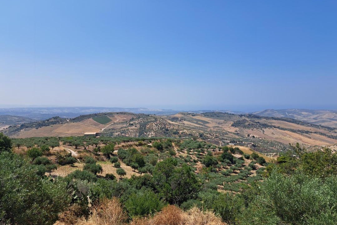 Photo of Others in Caltabellotta
