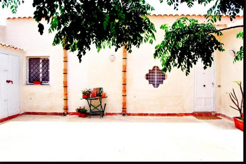 Photo of Others in Marsala