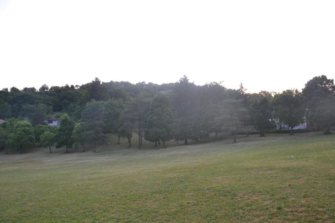 Photo of Others in Monteflavio