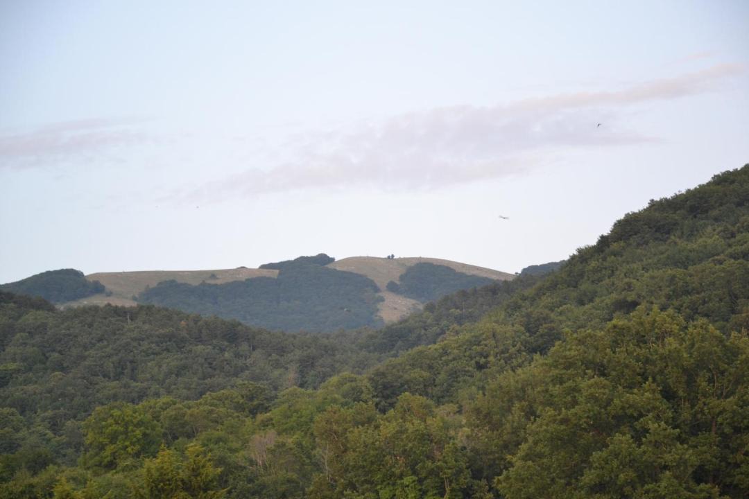 Photo of Others in Monteflavio
