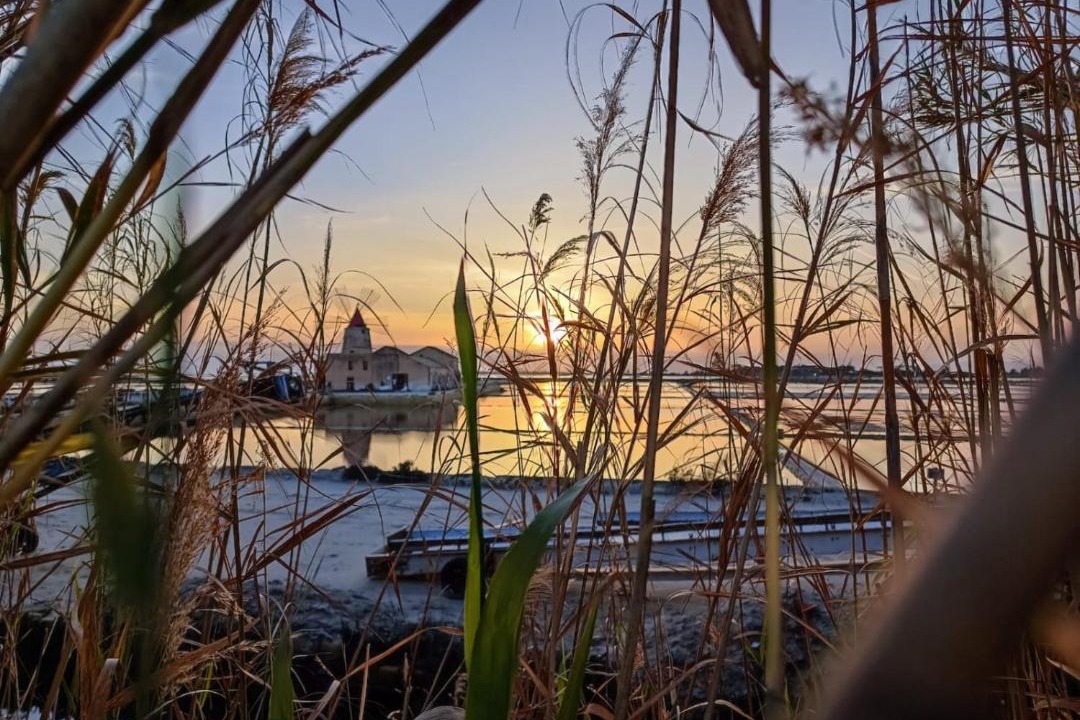 Photo of Others in Marsala
