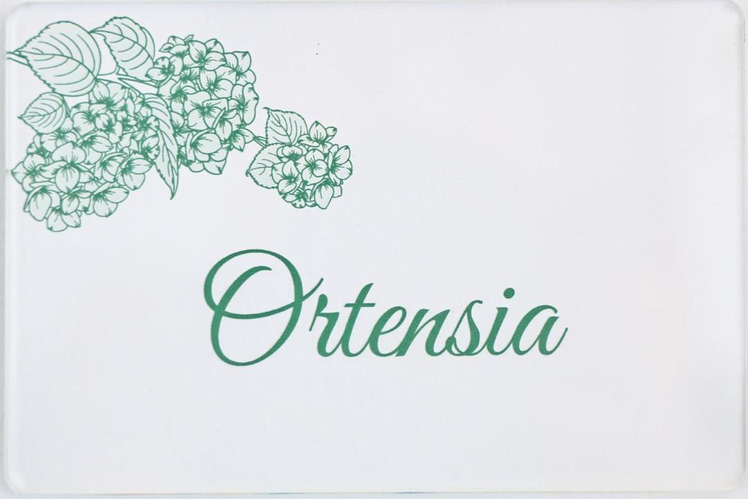 Photo of Others in Terrasini