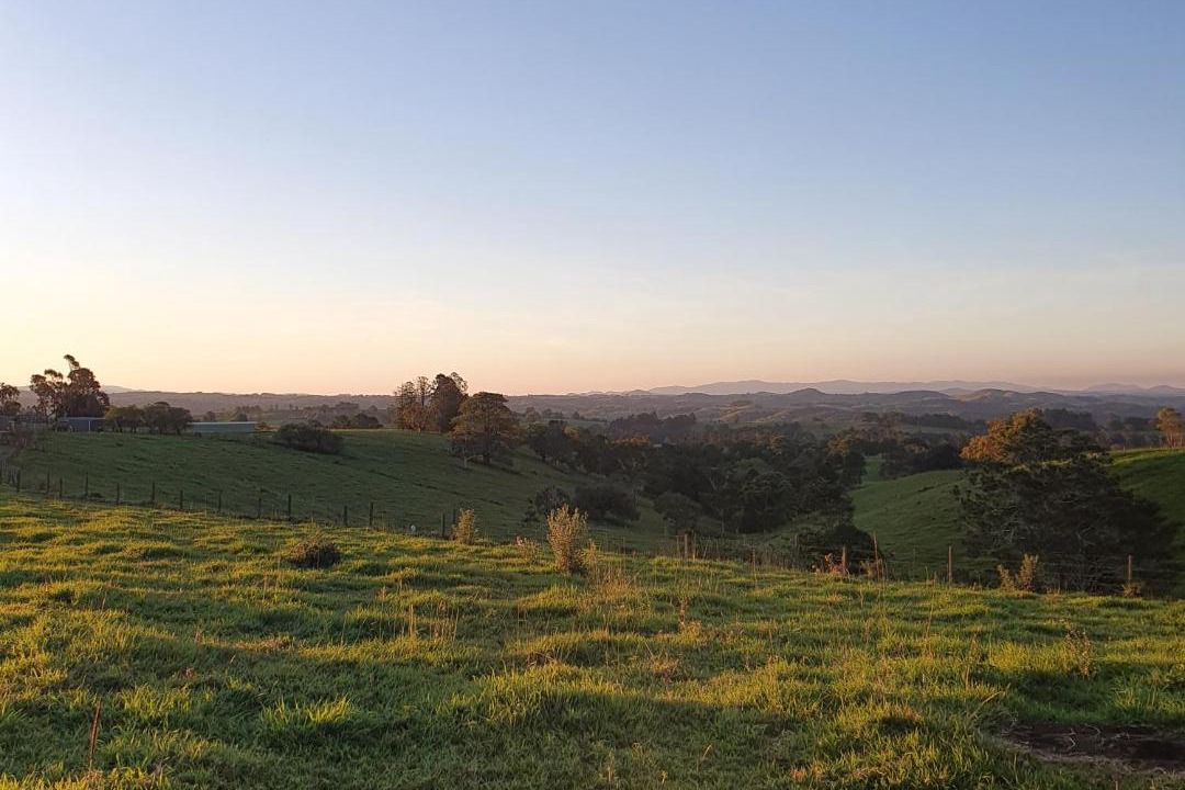 Photo of Others in Millaa Millaa