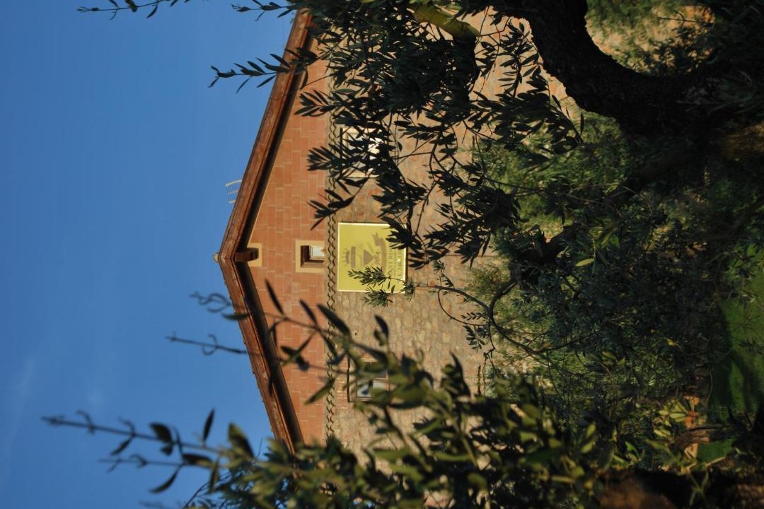 Photo of Others in Sonnino