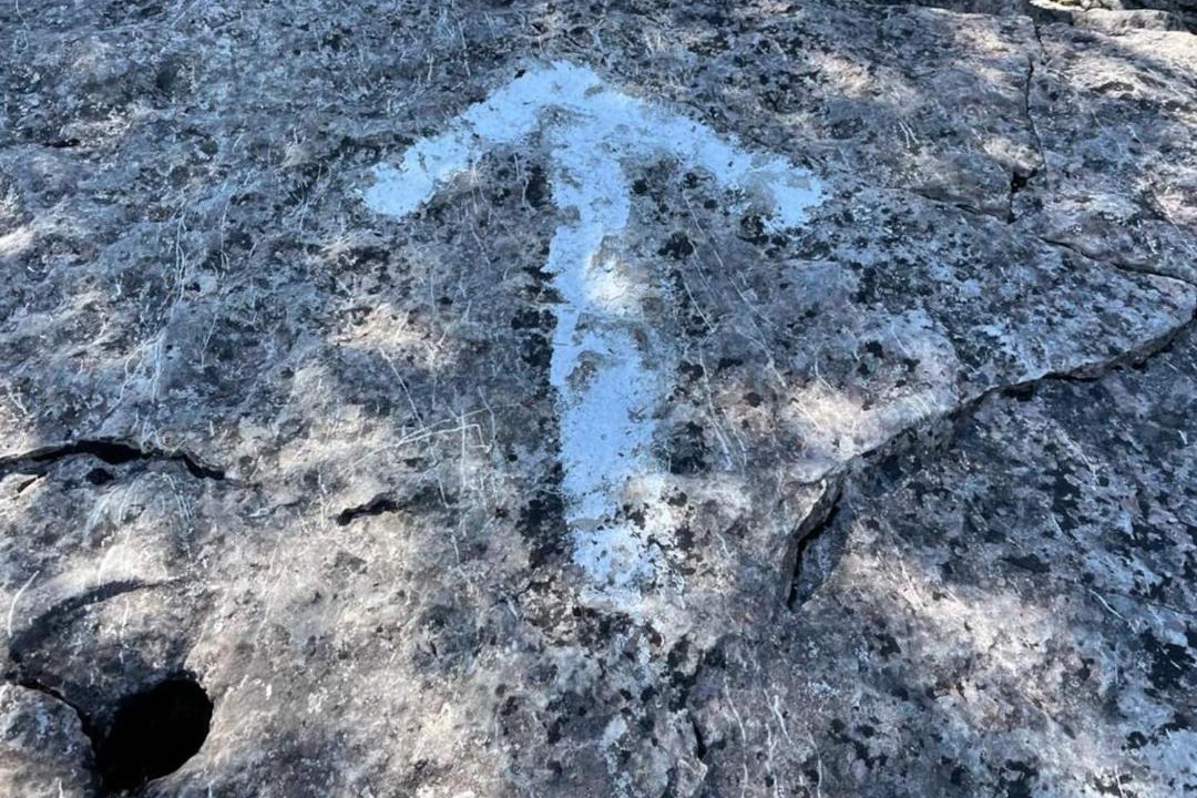 Photo of Others in South Bruce Peninsula