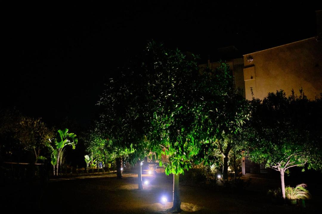 Photo of Others in Agrigento