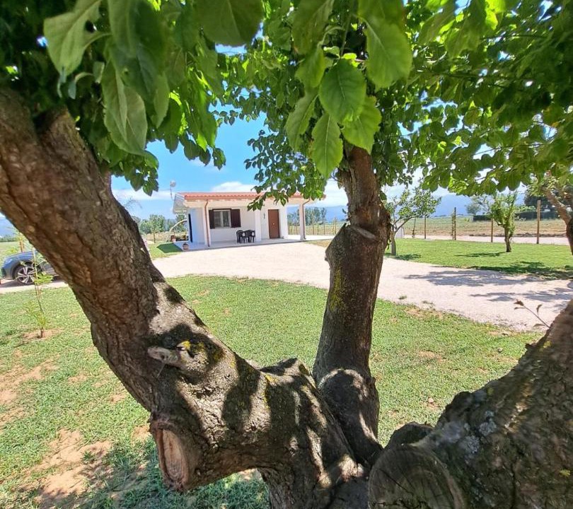 Photo of Others in Pontinia