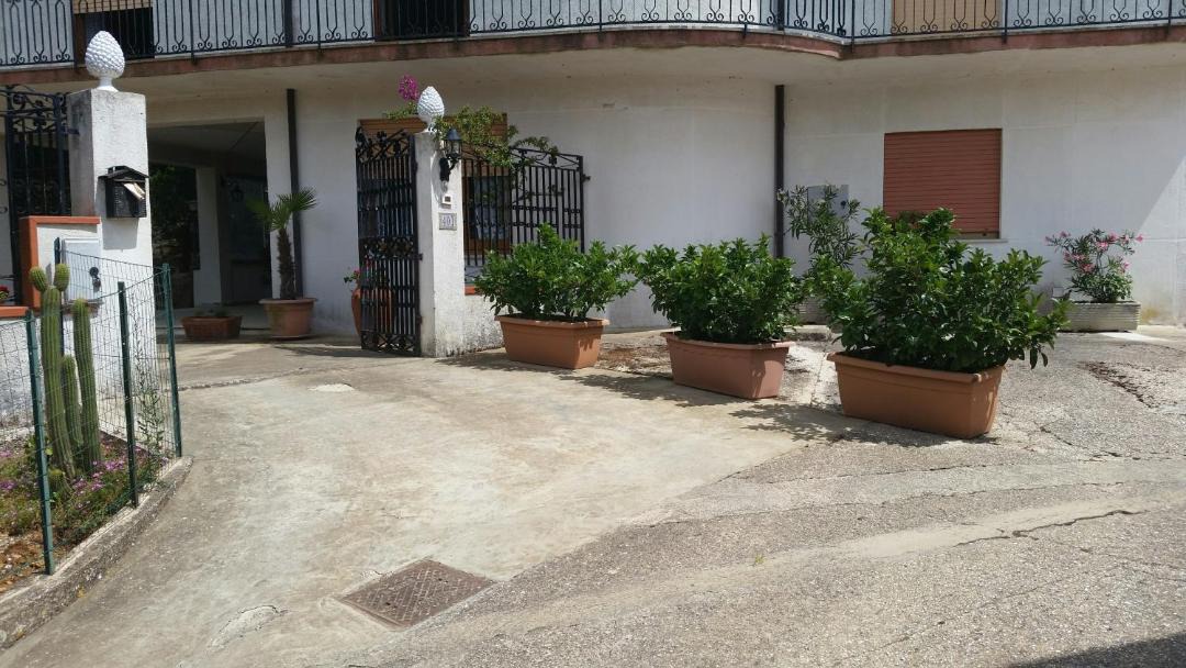 Photo of Others in Salemi