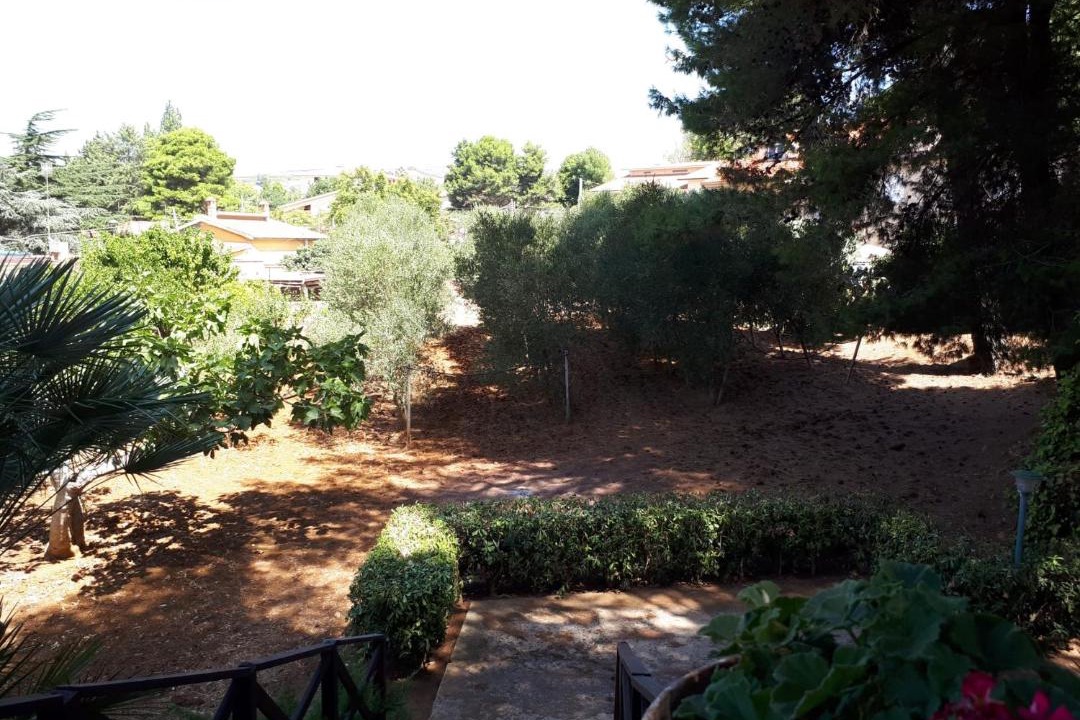 Photo of Others in Salemi