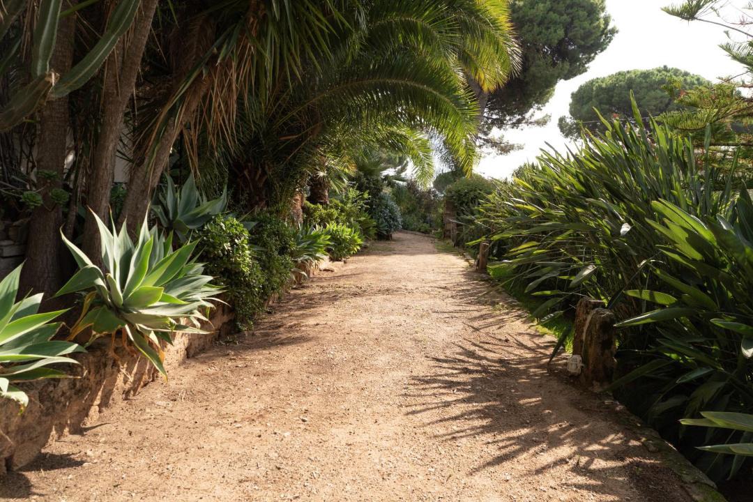 Photo of Others in Terrasini