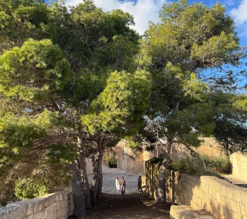 Photo of Others in Favignana