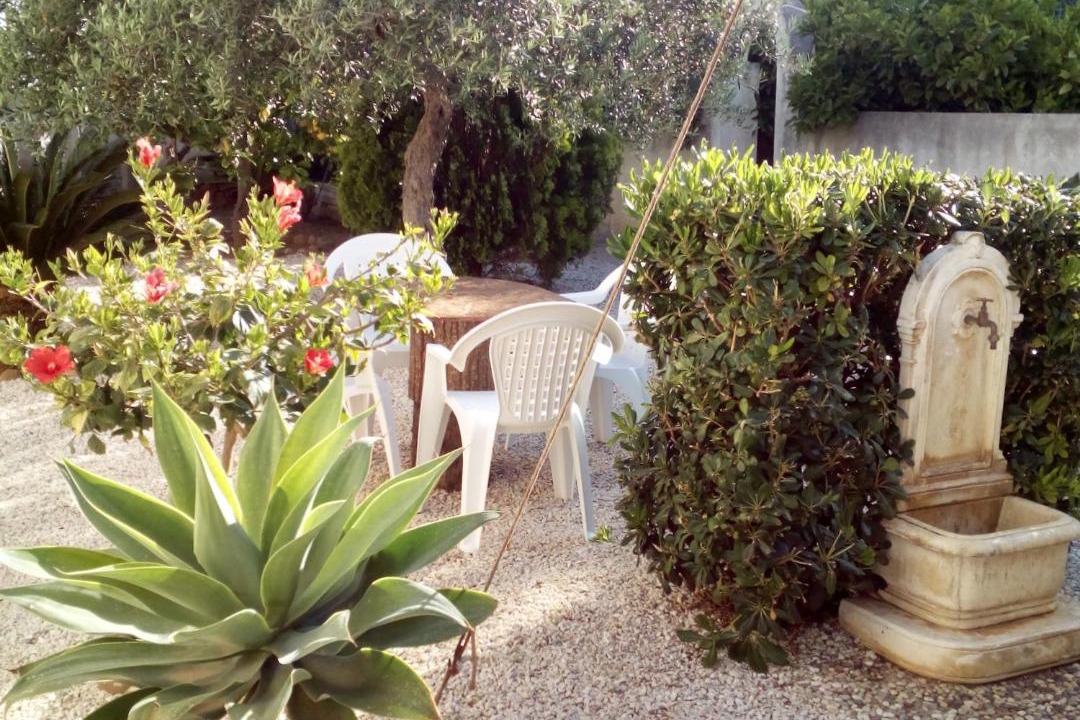 Photo of Others in Birgi Vecchi