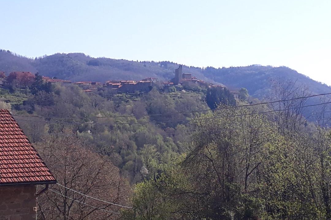 Photo of Others in Montemignaio