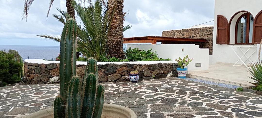 Photo of Others in Pantelleria