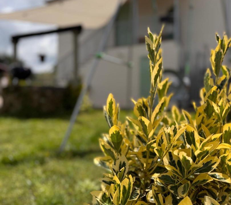 Photo of Outdoor in Palestrina