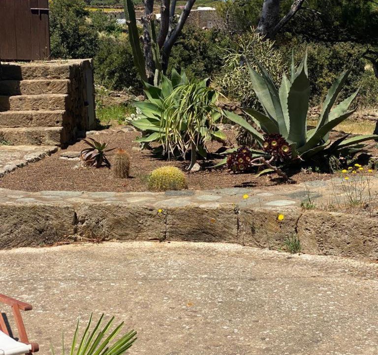 Photo of Others in Pantelleria