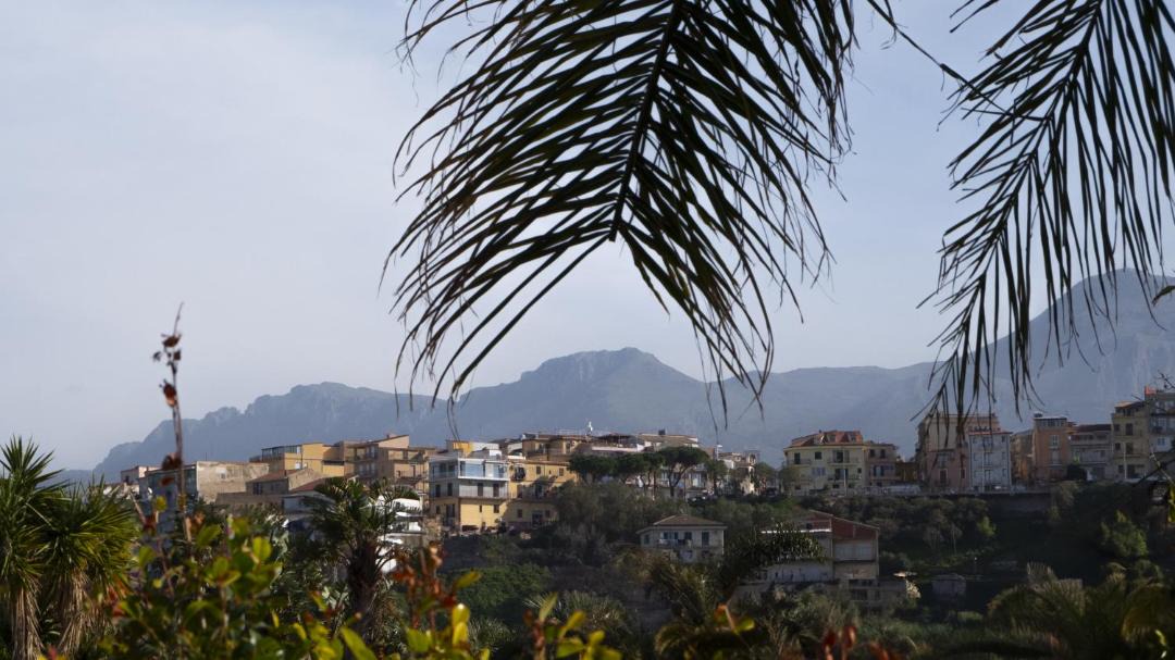 Photo of Others in Solfarelli