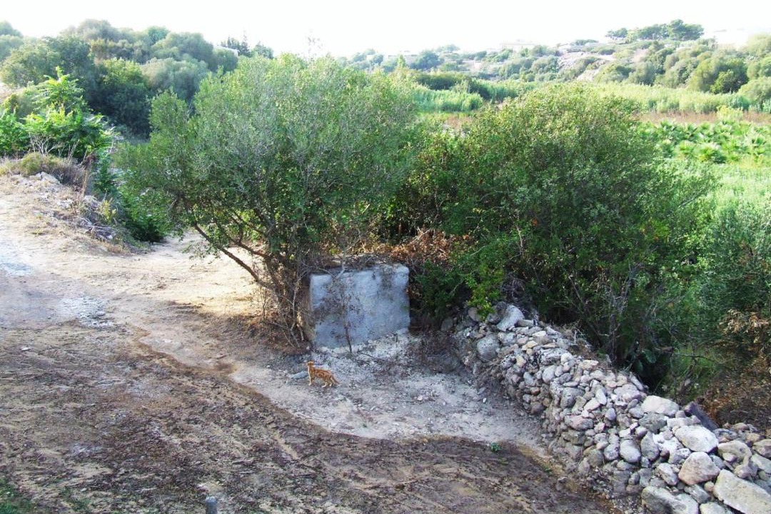 Photo of Others in Marsala