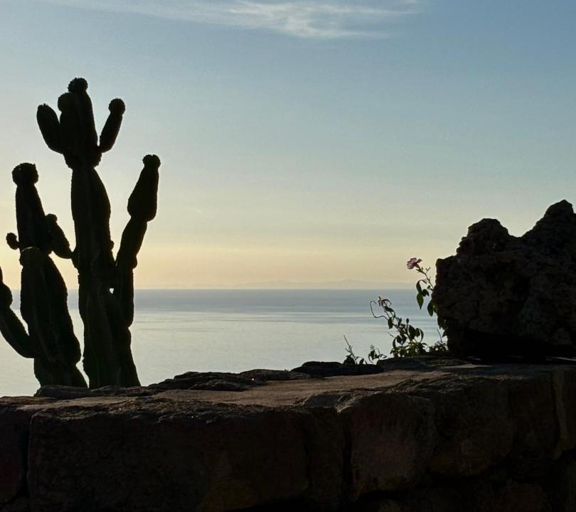 Photo of Others in Pantelleria