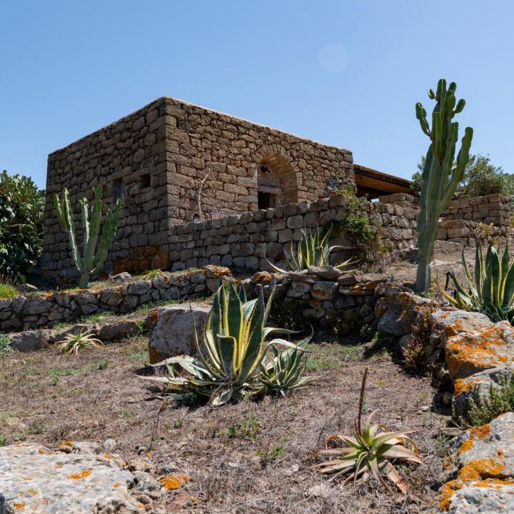 Photo of Others in Pantelleria