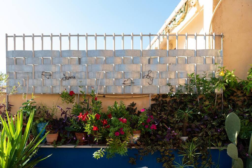 Photo of Others in Termini Imerese