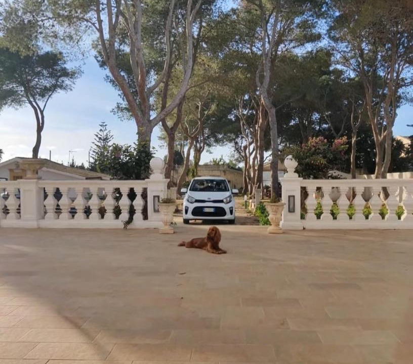 Photo of Others in Marsala