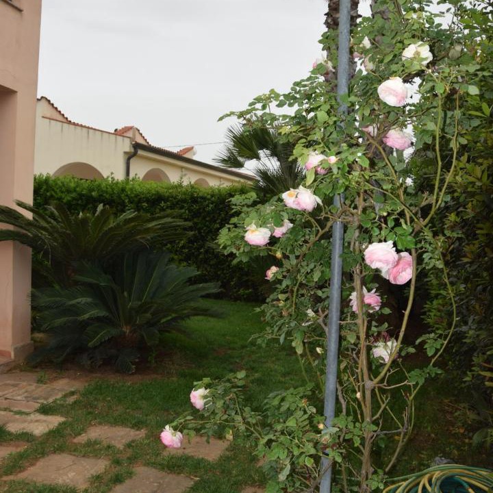 Photo of Others in Marinella di Selinunte