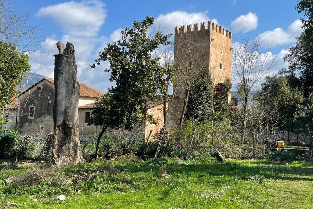 Photo of Others in Abbazia di Fossanova