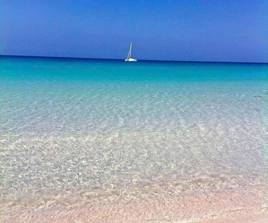 Photo of Others in Marsala