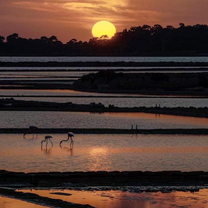 Photo of Others in Marsala
