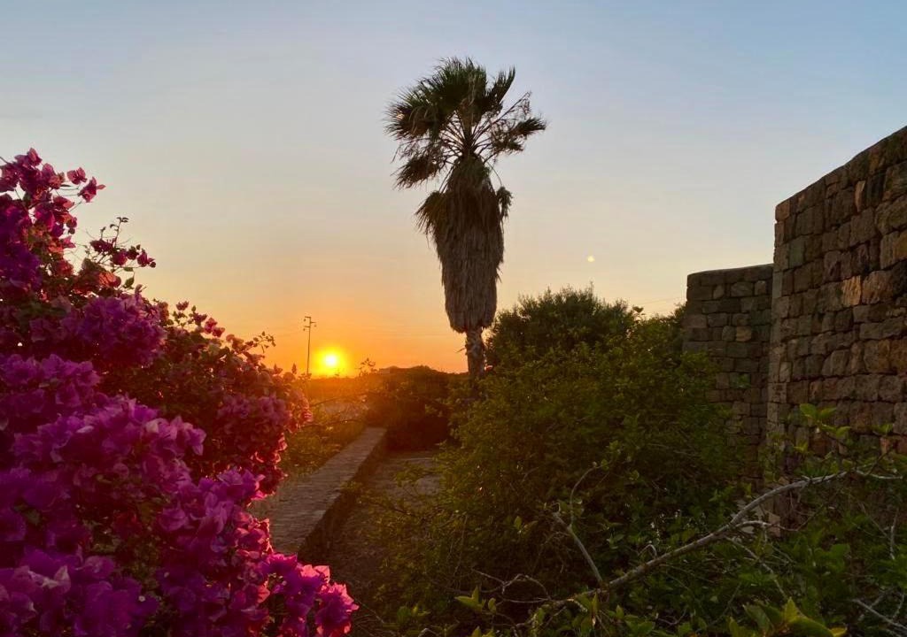 Photo of Others in Pantelleria