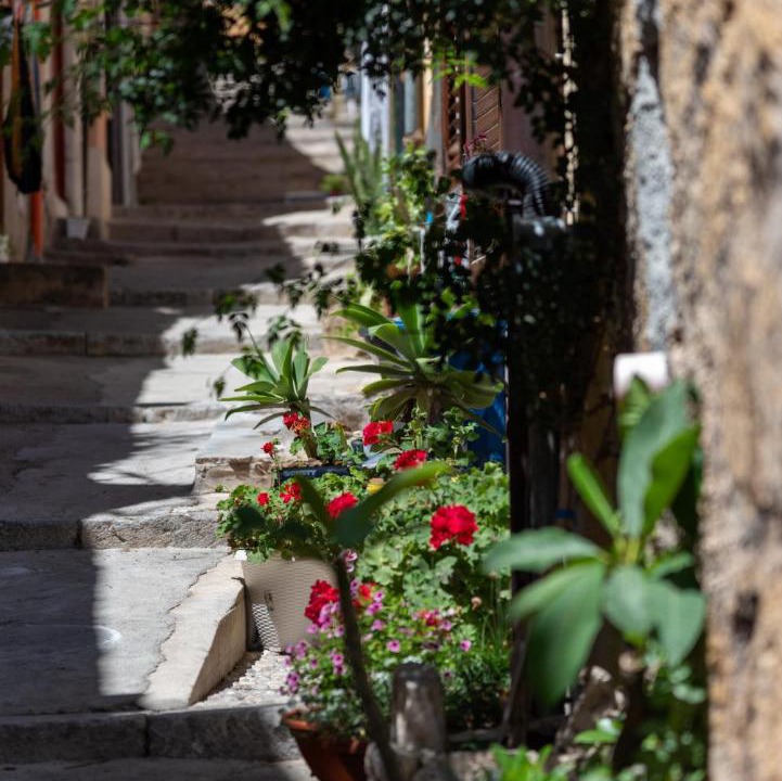 Photo of Others in Termini Imerese