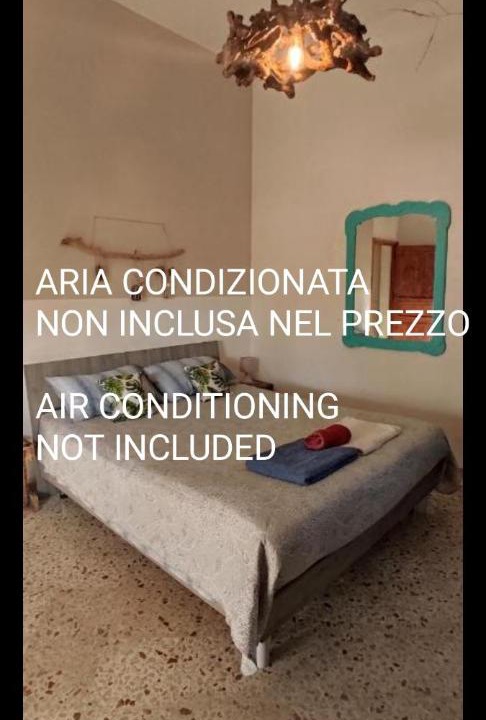 Photo of Others in Marsala