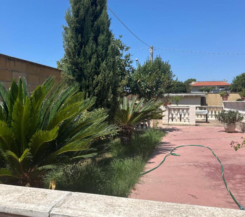 Photo of Others in Nettuno